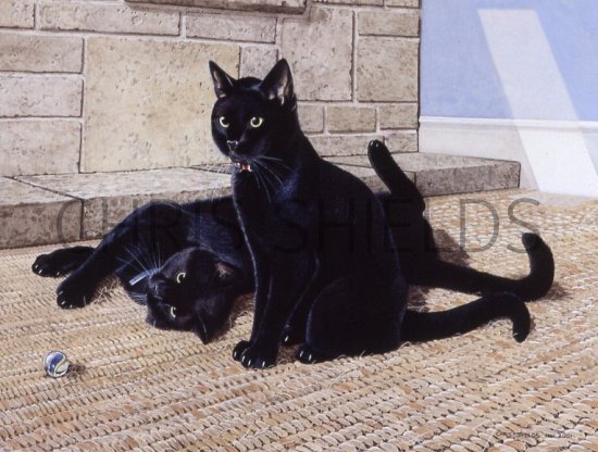 Illustration of Cat (Domestic) Felis catus (#0232)