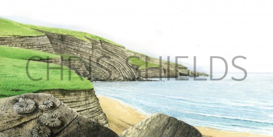 Illustration of Fossils & Seascape (#0092)