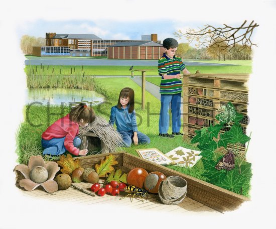 Illustration of School Nature Scene (#3691)