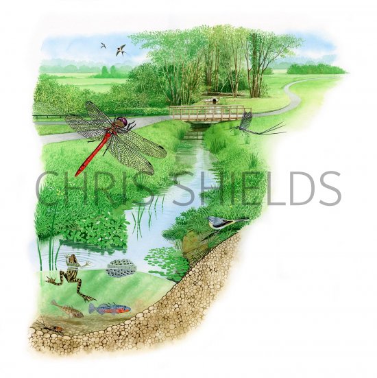 Illustration of Madebrook display panel (#3208)