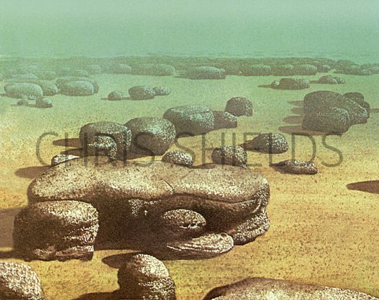Illustration of Stromatolites (#2857)