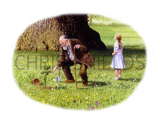 Illustration of Trees of time and Place (#2589)