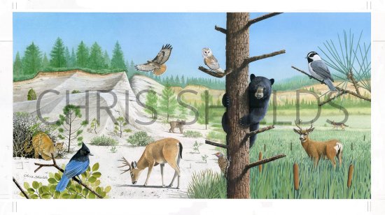 Illustration of Malakoff Diggins State Historic Park California (#3904)