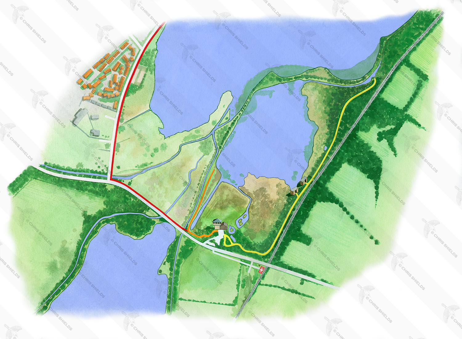 Illustration of RSPB Lochwinnoch Reserve Map (#4764)