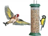 Illustration of Bird feeder with goldfinch & great tit (#3789)