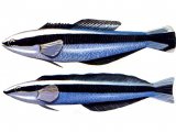 Illustration of Cleaner fish & Sabre-toothed blenny (#0166)