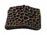 Illustration of Crocodile (Crocodylus) scale fossil (#0469)