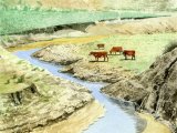 Illustration of Desert Landscape (USA) (#2311)