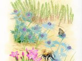 Illustration of Dune Flowers (#3482)