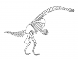 Illustration of Erlikosaurus (#0203)
