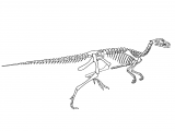 Illustration of Fabrusaurus (#0204)
