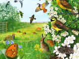 Illustration of Grassland Wildlife (#1722)