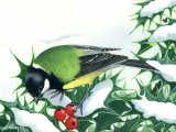Illustration of Great Tit (Parus major) (#0149)