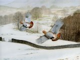Illustration of Grey Partridges over Lakeland Fell  (#3917)