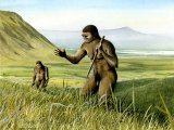 Illustration of Homo erectus (#0123)