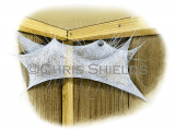 Illustration of House Spider Web (Tegenaria Sp.) (#1513)