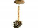 Illustration of Hygrophorus olivaceoalbus (#3835)