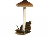 Illustration of Inocybe fuscidula (#3547)
