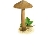 Illustration of Inocybe vulpinella (Foxy Fibrecap) (#3471)