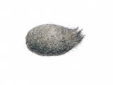 Illustration of Kestrel Pellet (Falco tinnunculus) (#0536)