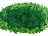 Illustration of Leaves (#2595)