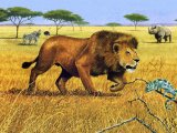 Illustration of Lion (Panthera leo) (#1437)