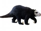 Illustration of Megatherium (Giant Sloth) (#0590)