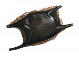 Illustration of Mermaids Purse (Ray or Skate Eggs) (#2333)