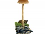 Illustration of Naucoria amarescens (#3594)