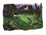 Illustration of Night Garden Wildlife Watch (#3210)