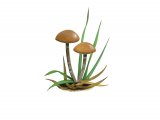 Illustration of Psilocybe subviscida var. velata (#4285)