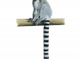 Illustration of Ring-tailed Lemur (Lemur catta) (#3366)