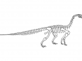 Illustration of Riojasaurus (#0209)