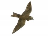 Illustration of Sand Martin (Riparia riparia) (#2501)