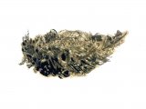 Illustration of Sparrowhawk pellet (Accipiter nisus) (#0862)