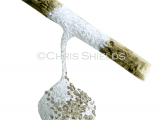 Illustration of Spider Egg sack (Agroeca brunnea) (#2912)
