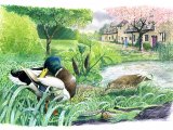 Illustration of Spring Showers (#2801)
