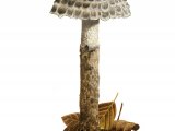 Illustration of Strobilomyces strobilaceus (Old Man of the Woods) (#2317)