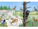 Illustration of Malakoff Diggins State Historic Park California (#3904)