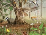 Illustration of Woodland at Night (#2763)