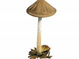 Illustration of Xerula radicata (Rooting Shank) (#3931)