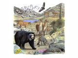 Illustration of Andian Wildlife (#0246)