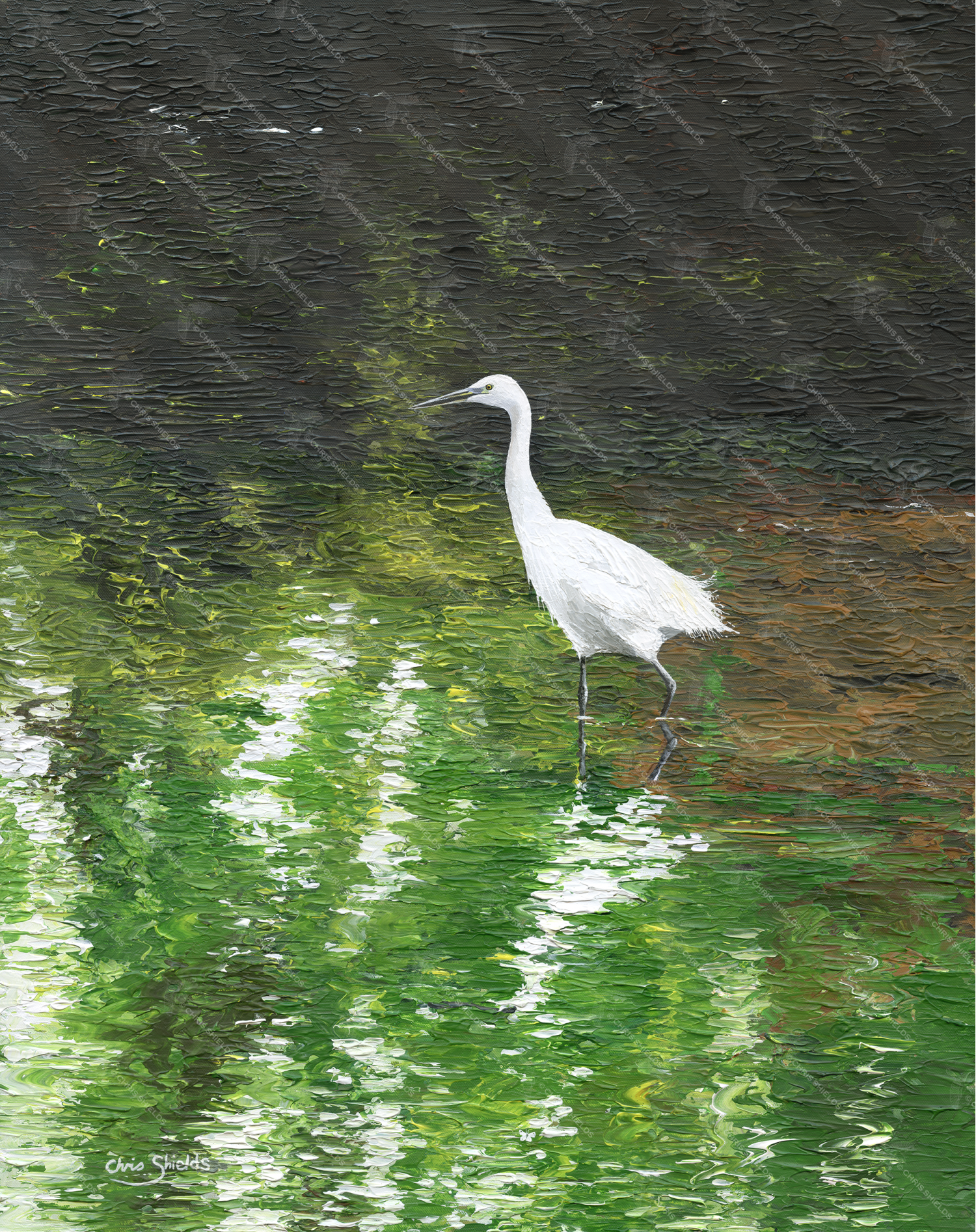 Painting of Great Egret