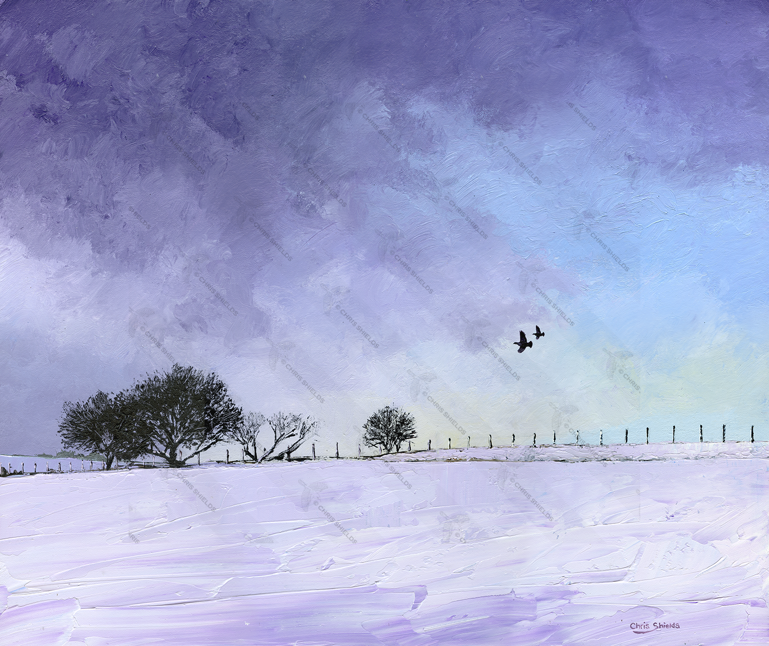 Painting of Grey Partridges on a West Pennine Winter Moor