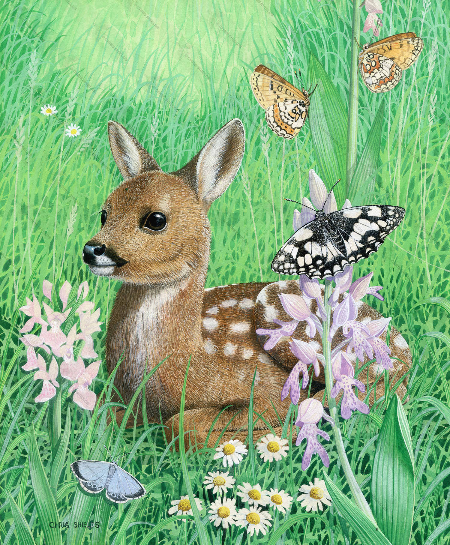 Painting of Roe Deer Flower Meadow