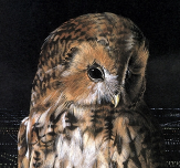 Painting of Above the City Lights
