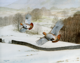 Lakeland Winter (Grey Partridges) 